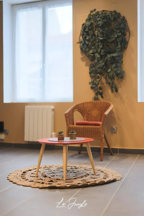 Le Jungle 5 Etoiles / Netflix Et Services Saint-Jean-Bonnefonds Aparthotel