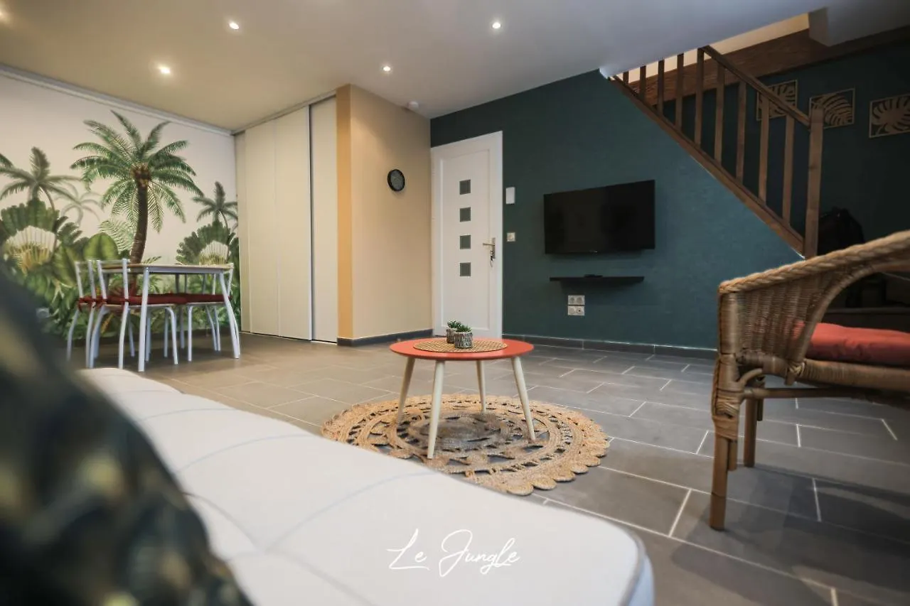 Aparthotel Le Jungle 5 Etoiles / Netflix Et Services Saint-Jean-Bonnefonds