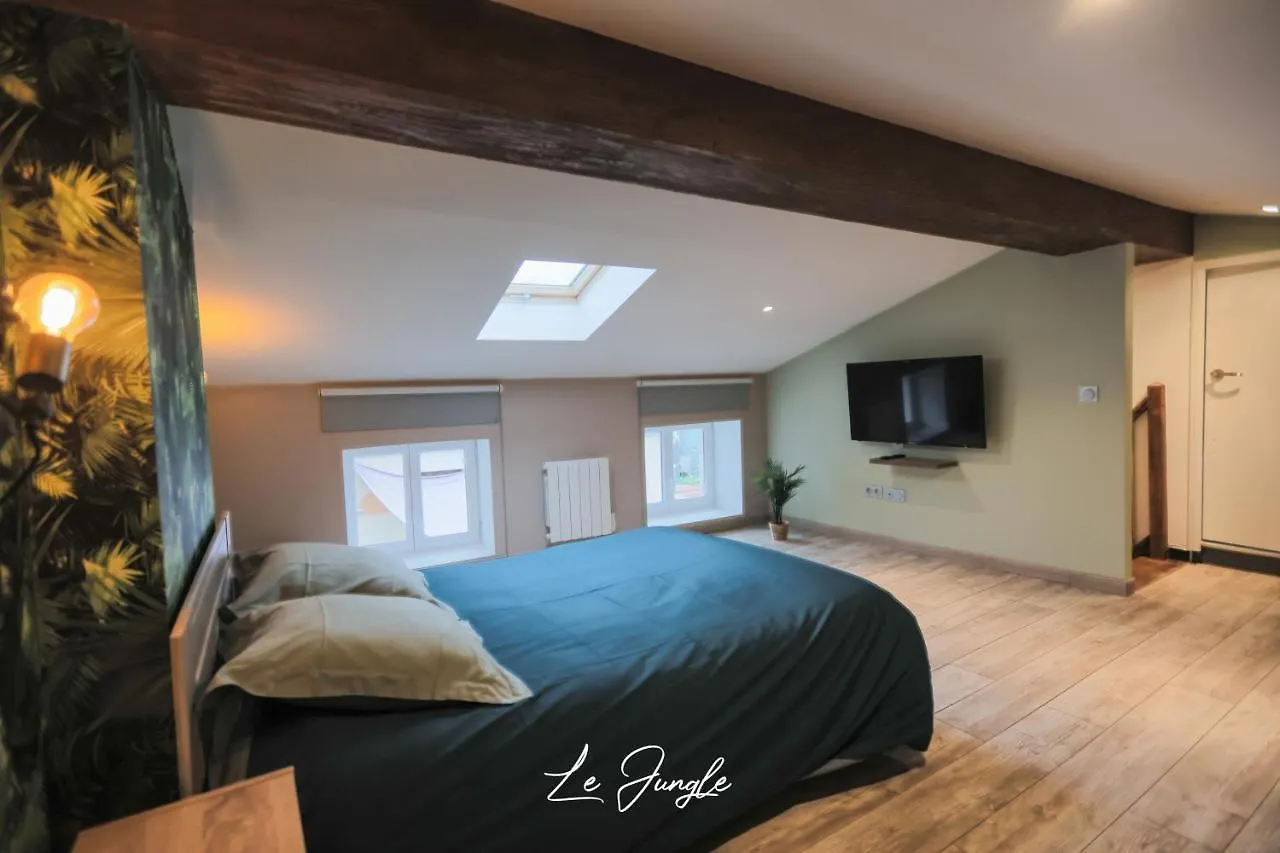 Le Jungle 5 Etoiles / Netflix Et Services Saint-Jean-Bonnefonds 0*,  France