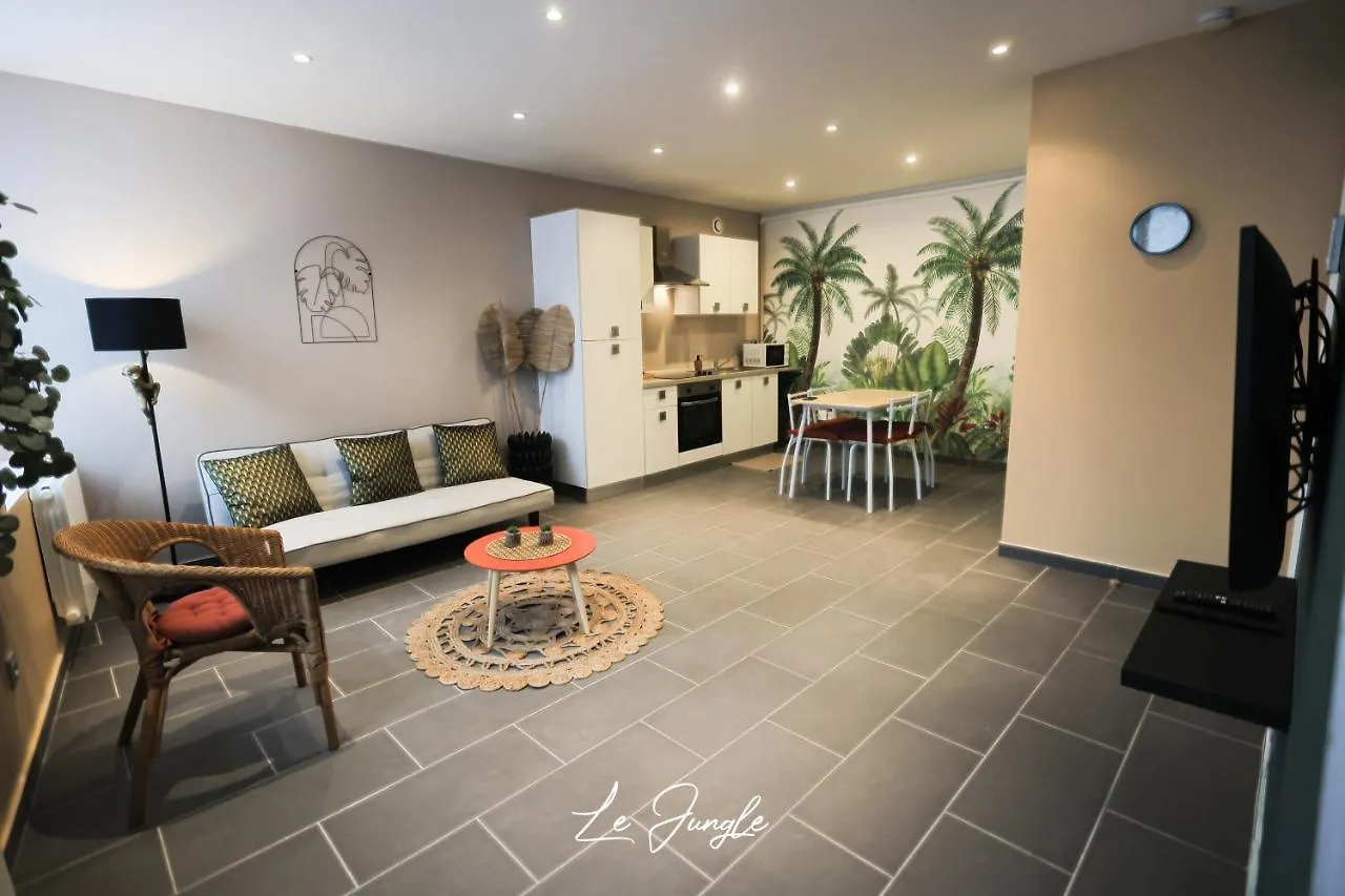 Le Jungle 5 Etoiles / Netflix Et Services Saint-Jean-Bonnefonds France