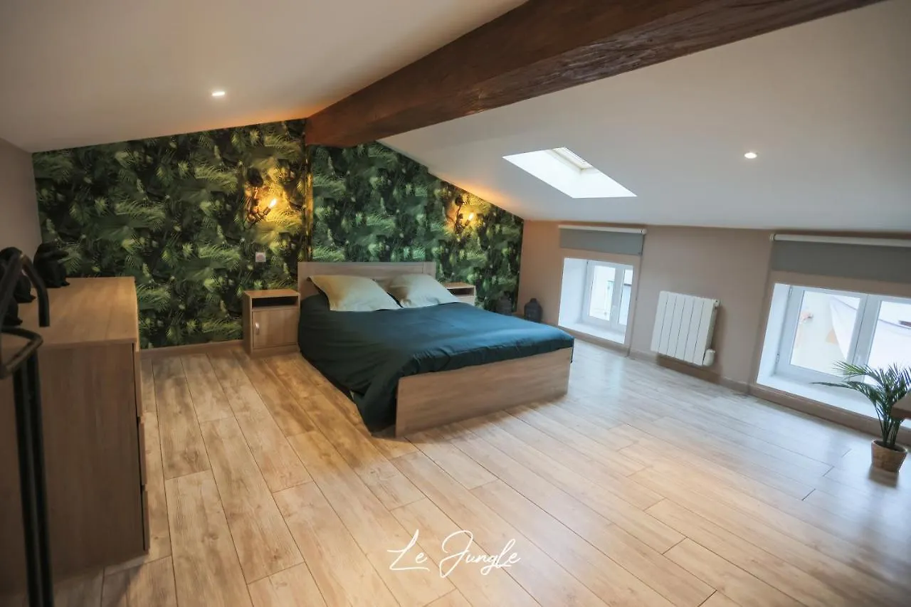 Aparthotel Le Jungle 5 Etoiles / Netflix Et Services Saint-Jean-Bonnefonds France