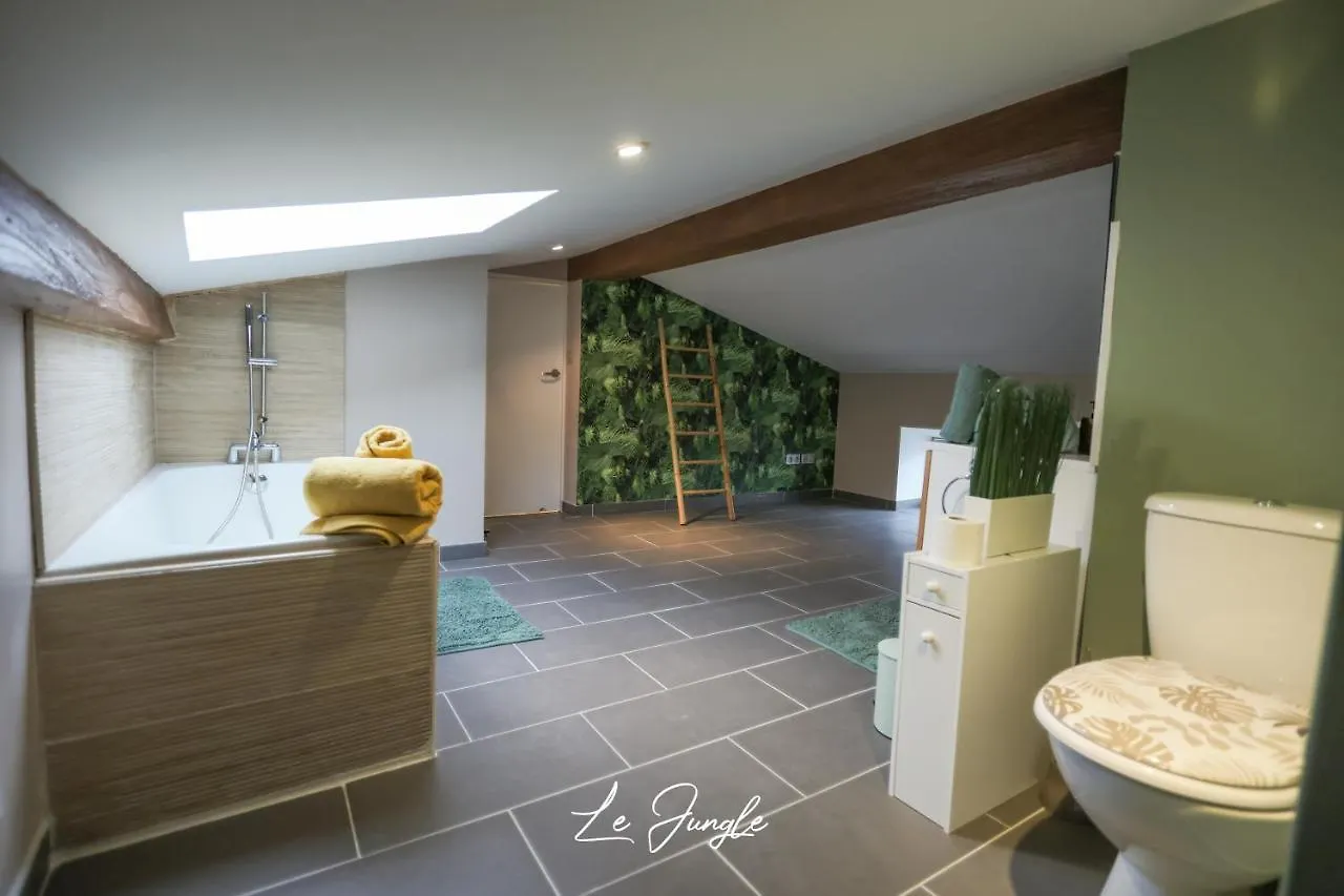 Le Jungle 5 Etoiles / Netflix Et Services Saint-Jean-Bonnefonds Aparthotel